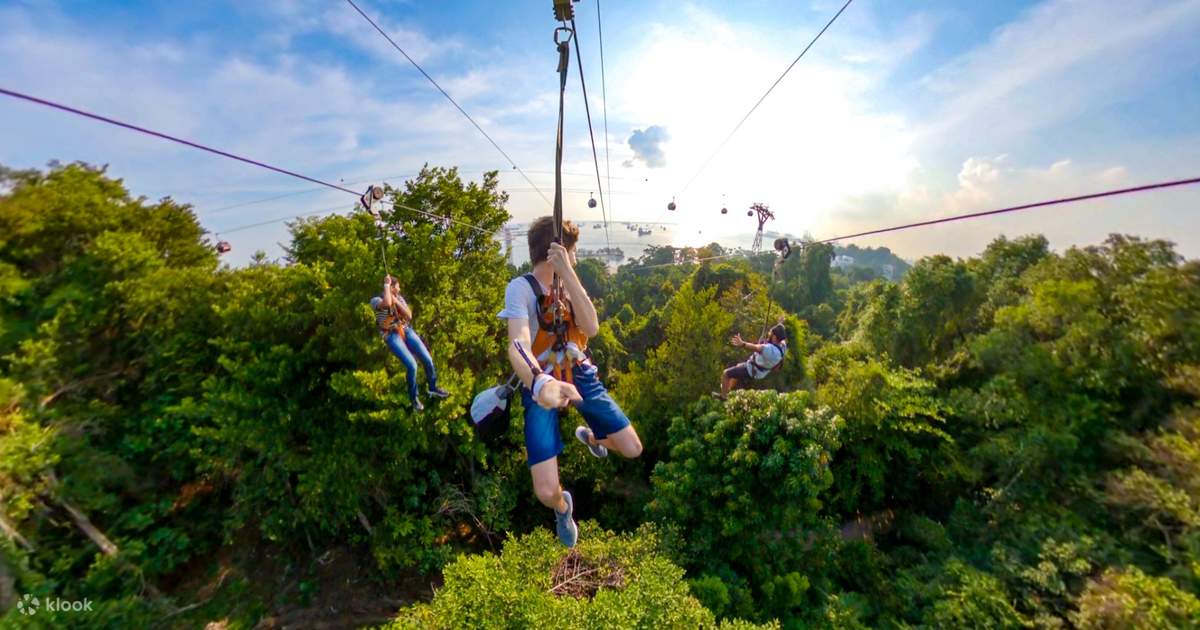 MegaZip at Mega Adventure Park Singapore Klook New Zealand